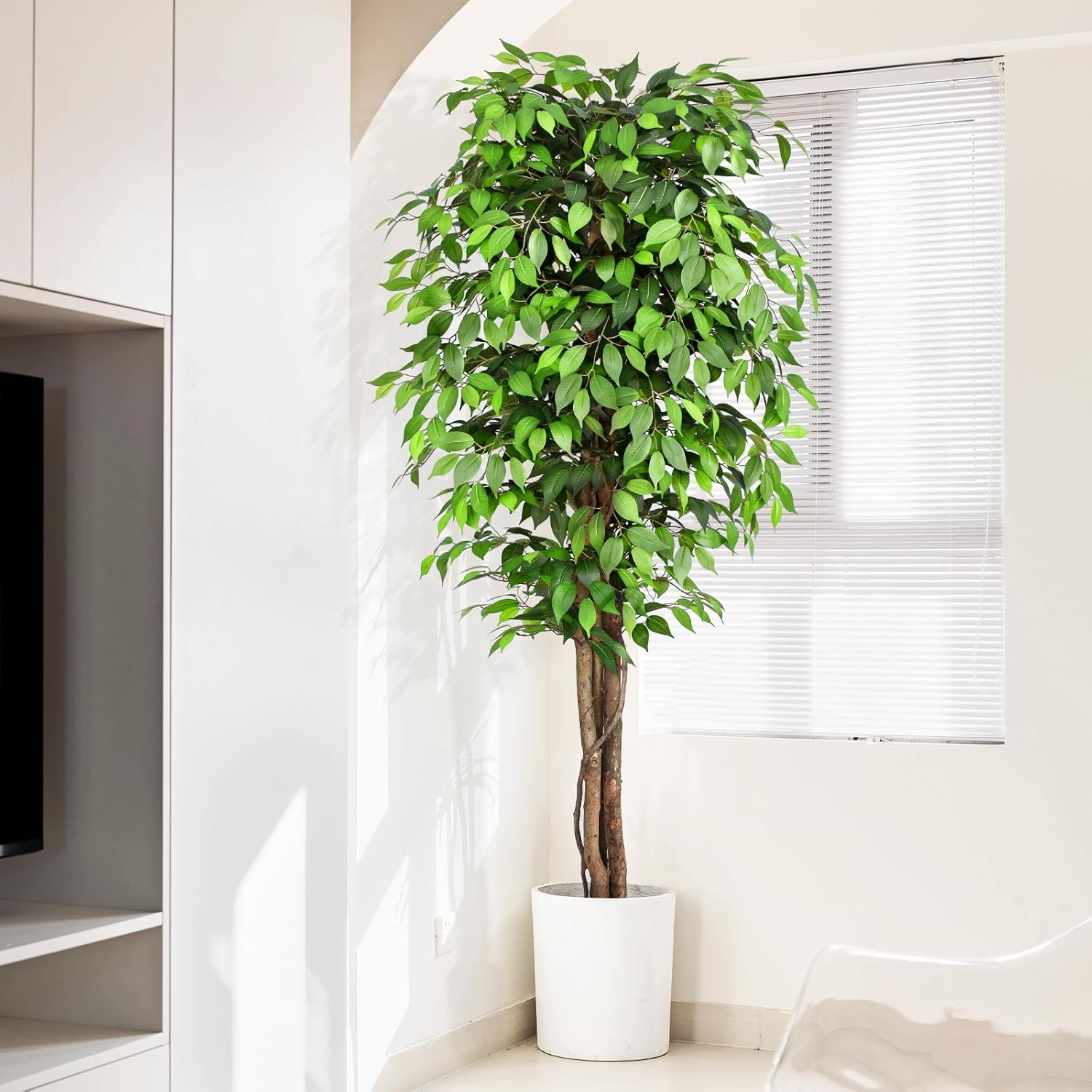 Cây sung nhân tạo trông như câ - đánh giá và giá Ficus Lyrata Tree